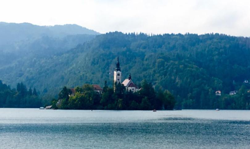 14368733_10154455130338340_6898934900120357401_n