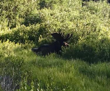 19990368_10155435716858340_5311122190719379398_n