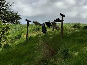 23795425_10155801821758340_5180202705229144567_n