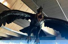 23795892_10155811144183340_1964385037631773395_n