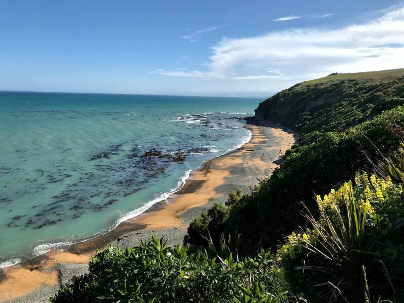 23916700_10155822191793340_1628650605896247469_o